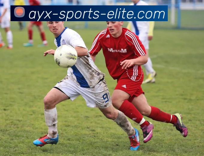 爱游戏体育APP 封面图